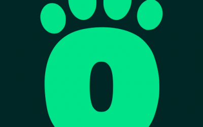 DogDancing España: Nuestra Misión y Compromiso con el Bienestar Animal