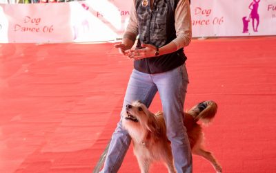 🐾 ¿Qué es el DogDancing y cómo empezar?